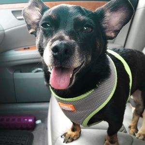 Meet your Posher, Laura